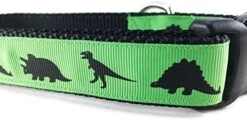 Dinosaur Dog Collar, Caninedesign, Green, T-Rex, Stegosaurus, Triceratops, 1 Inch Wide, Adjustable, Nylon, Medium And Large (Large 15-22") -Zoomie Shop 51a zc8FOWL. AC