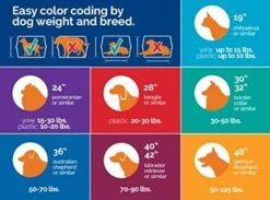 Precision Pet Products Two Door Great Crate Wire Dog Crate, 42 Inch, For Pets 70-90 Lbs 15 Precision Pet Products Two Door Great Crate Wire Dog Crate, 42 Inch, For Pets 70-90 Lbs -Zoomie Shop 51aBJCzYfnL