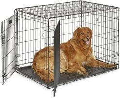 MidWest Homes For Pets XL Dog Crate | MidWest Life Stages Folding Metal Dog Crate | Divider Panel, Floor Protecting Feet, Leak-Proof Dog Pan | 48L X 30W X 33H Inches, XL Dog Breed -Zoomie Shop 51aF3JEUkdL. AC