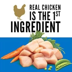 CESAR Small Breed Dry Dog Food Rotisserie Chicken Flavor With Spring Vegetables Garnish Dog Kibble, 12 Lb. Bag -Zoomie Shop 51aRQX3vxFS