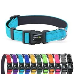 6Ft Double Handle Dog Leash & L Dog Nylon Collar -Zoomie Shop 51ajbxDtlcL