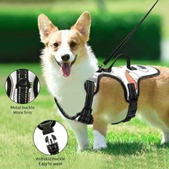 Poeticcity Seamless Colorful Japanese Food On White No Pull Vest Harness, Padded Reflective Adjustable Harnesses For Small To Large Dogs Cats With Leash Clips Easy Control Handle M -Zoomie Shop 51bCpWSxxdL