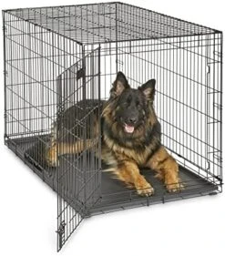 MidWest Homes For Pets XL Dog Crate | MidWest Life Stages Folding Metal Dog Crate | Divider Panel, Floor Protecting Feet, Leak-Proof Dog Pan | 48L X 30W X 33H Inches, XL Dog Breed -Zoomie Shop 51bEVehLiL. AC