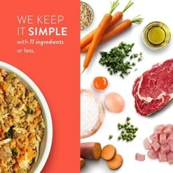 Portland Pet Food Company Human-Grade Wet Dog Food Pouch: Fresh Dog Food Mixer And Dog Food Topper Multipack Packets 9 Portland Pet Food Company Human-Grade Wet Dog Food Pouch: Fresh Dog Food Mixer And Dog Food Topper Multipack Packets -Zoomie Shop 51bJ2WZouXL