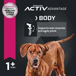 Eukanuba Adult Large Breed Dry Dog Food, 30 Lb -Zoomie Shop 51bfdNNgwOL