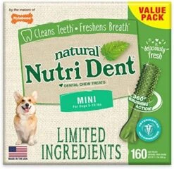 Nylabone Nutri Dent Filet Mignon Flavored Dog Dental Chews Mini - Up To 10 Lbs. 160 Count -Zoomie Shop 51cM5LfvRL. AC