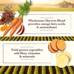 Whole Earth Farms Grain Free Recipe Dry Dog Food, Salmon & Whitefish, 25-Pound -Zoomie Shop 51cb25wP1vS