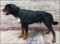 Dog Muscle Building Weighted Vest - Weight Pulling Trainer - Dog Endurance Builder