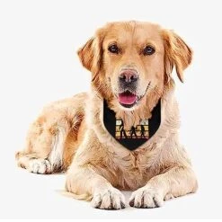 GENERIC Bigfoot Retro Sunset Pet Bandana Collar - Scarf Collar - Art Dog Bandana Minimal Head Cicumference -Zoomie Shop 51d6TTIHMqL