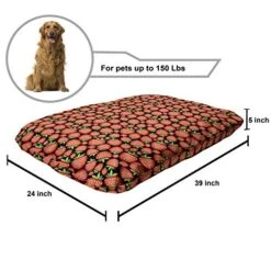 Ambesonne Strawberry Pet Bed, Tropical Fruit Pattern With Berries Summer Season Nature Food Themed Art, Chew Resistant Pad For Dogs And Cats Cushion With Removable Cover, 24" X 39", Multicolor -Zoomie Shop 51dGj2vRkGL