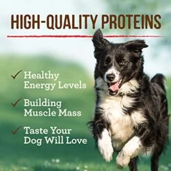 Merrick Grain Free Wet Dog Food Real Chicken Recipe - (12) 12.7 Oz Cans -Zoomie Shop 51dLgSBUfeS 1