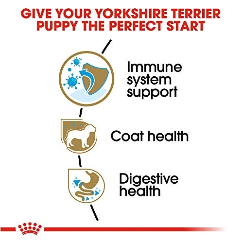 Royal Canin Yorkshire Terrier Puppy Breed Specific Dry Dog Food, 2.5 Lb. Bag 2 Royal Canin Yorkshire Terrier Puppy Breed Specific Dry Dog Food, 2.5 Lb. Bag - Image 2