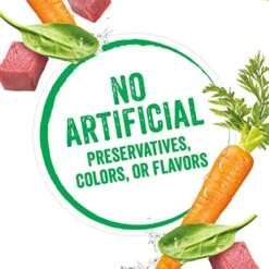 Beneful Purina Infused Wet Dog Food Pate With Real Lamb, Carrots And Spinach, With Sunflower Oil - (8 Packs Of 3) 3 Oz. Sleeves 17 Beneful Purina Infused Wet Dog Food Pate With Real Lamb, Carrots And Spinach, With Sunflower Oil - (8 Packs Of 3) 3 Oz. Sleeves -Zoomie Shop 51dTVmuTjKL