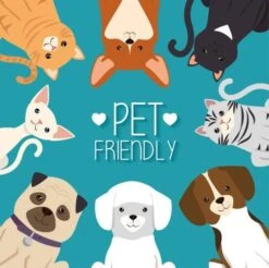 BRIGHTT - Family, Food, And Football Screen Print Dog Shirt Baby Blue Med For Pet Dog Puppy Pup Pupper Doggos -Zoomie Shop 51dpoewtiVL