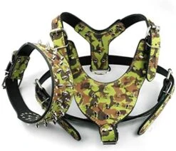 Kuntrona Large Dog Harness And Collar Set Spiked & Studded Leather Dog Pet Harness Collar For Pit Bull Mastiff Medium Large Dogs Green M -Zoomie Shop 51e0XHba5BL. AC