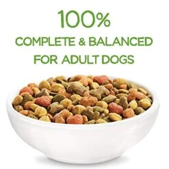 Purina Beneful Healthy Weight Dry Dog Food, Healthy Weight With Farm-Raised Chicken - 15.5 Lb. Bag -Zoomie Shop 51e90GujqWL