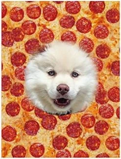 Novgarden Funny Custom Dog Blanket, Flannel Personalized Picture Blanket With Bone/Paw/Pizza/Fries/Hamburger Pattern Food Blanket Puppy Dog Memorial Gifts -Zoomie Shop 51eGMWbnytL. AC