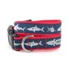 The Worthy Dog Jaws Shark Pattern Stylish & Durable Nylon Dog Collars, Adjustable Strong Buckle, Blue, M