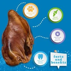 Jack&Pup Whole Pig Ears For Dogs - Extra Thick Large Pigs Ears - Premium Dog Pig Ear Treats - Natural Dog Pork Chews; Excellent Rawhide Alternative (10 Pack) 9 Jack&Pup Whole Pig Ears For Dogs - Extra Thick Large Pigs Ears - Premium Dog Pig Ear Treats - Natural Dog Pork Chews; Excellent Rawhide Alternative (10 Pack) -Zoomie Shop 51esq1SioQL