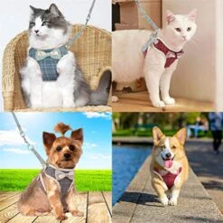 DOILNXH Nylon Cat Dog Harness And Leash Set Breathable Plaid Pet Mesh Harnesses Breathable Puppy Kitten Vest For Small Medium Dogs Blue M -Zoomie Shop 51fM1e7mJ6L