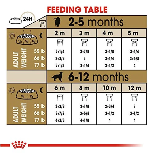 Royal Canin Golden Retriever Puppy Breed Specific Dry Dog Food, 30 Lb. Bag 3 Royal Canin Golden Retriever Puppy Breed Specific Dry Dog Food, 30 Lb. Bag - Image 3