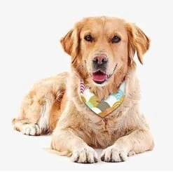 GENERIC Fish Scales Pattern Pet Bandana Collar - Scarf Collar - Art Dog Bandana Minimal Head Cicumference 10 GENERIC Fish Scales Pattern Pet Bandana Collar - Scarf Collar - Art Dog Bandana Minimal Head Cicumference -Zoomie Shop 51fj38dg5uL