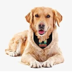 GENERIC I-Love-My-west-Highland-Terrier Pet Bandana Collar - Scarf Collar - Art Dog Bandana Minimal Head Cicumference -Zoomie Shop 51fuz1mJH5L