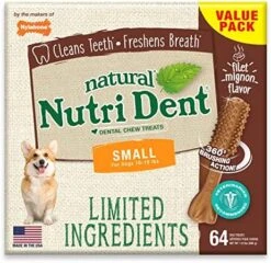 Nylabone Nutri Dent Filet Mignon Flavored Dog Dental Chews Mini - Up To 10 Lbs. 160 Count -Zoomie Shop 51g9udjGmTL. AC