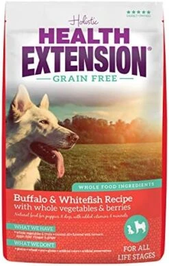 Health Extension Dry Dog Food, Natural Food With Added Vitamins & Minerals, Suitable For All Puppies, Grain Free, Salmon Recipe With Whole Vegetable & Berries (10 Pound) -Zoomie Shop 51gZcEpezPL. AC 1