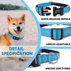 6Ft Double Handle Dog Leash & L Dog Nylon Collar -Zoomie Shop 51gq1y8GC8L