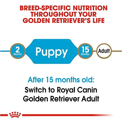 Royal Canin Golden Retriever Puppy Breed Specific Dry Dog Food, 30 Lb. Bag 2 Royal Canin Golden Retriever Puppy Breed Specific Dry Dog Food, 30 Lb. Bag - Image 2