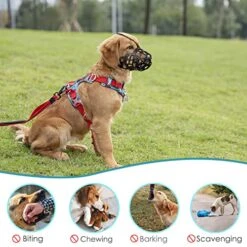 Dog Muzzle, Breathable Adjustable Drinkable Humane Dog Basket Muzzle, Anti-Biting Barking & Chewing For Small, Medium, Large And X-Large Dogs, 5 Size (M) 11 Dog Muzzle, Breathable Adjustable Drinkable Humane Dog Basket Muzzle, Anti-Biting Barking & Chewing For Small, Medium, Large And X-Large Dogs, 5 Size (M) -Zoomie Shop 51iSJ8hFheL