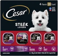 CESAR Adult Soft Wet Dog Food Filets In Gravy Variety Pack, Filet Mignon, New York Strip And Prime Rib Flavors, (24) 3.5 Oz. Trays -Zoomie Shop 51ibKingcBL. AC 1