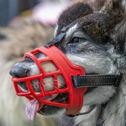 Dog Muzzle,Soft Basket Silicone Muzzles For Dog, Best To Prevent Biting, Chewing And Barking, Allows Drinking And Panting, Used With Collar 25 Dog Muzzle,Soft Basket Silicone Muzzles For Dog, Best To Prevent Biting, Chewing And Barking, Allows Drinking And Panting, Used With Collar -Zoomie Shop 51ibQzwpcQL. AC 1