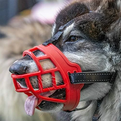 Dog Muzzle,Soft Basket Silicone Muzzles For Dog, Best To Prevent Biting, Chewing And Barking, Allows Drinking And Panting, Used With Collar 11 Dog Muzzle,Soft Basket Silicone Muzzles For Dog, Best To Prevent Biting, Chewing And Barking, Allows Drinking And Panting, Used With Collar - Image 11