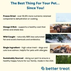 A Better Treat New Freeze Dried Salmon Dog Treats, Wild Caught, Single Ingredient | Natural High Value | Gluten Free, Grain Free, High Protein, Diabetic Friendly | Natural Fish Oil | Made In The USA -Zoomie Shop 51itcyywCGL