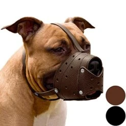 CollarDirect Leather Basket Dog Muzzle For German Shepherd Staffordshire Terrier Pitbull Medium Large Breeds Training, Anti-Barking, Biting, Chewing (Brown)