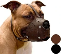 CollarDirect Leather Basket Dog Muzzle For German Shepherd Staffordshire Terrier Pitbull Medium Large Breeds Training, Anti-Barking, Biting, Chewing (Brown) 13 CollarDirect Leather Basket Dog Muzzle For German Shepherd Staffordshire Terrier Pitbull Medium Large Breeds Training, Anti-Barking, Biting, Chewing (Brown) -Zoomie Shop 51jFaigS6ZL. AC