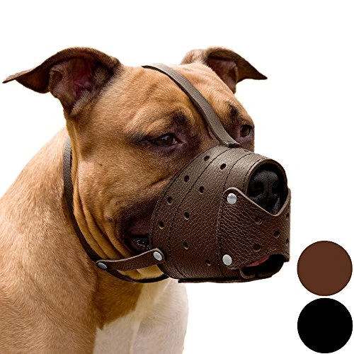CollarDirect Leather Basket Dog Muzzle For German Shepherd Staffordshire Terrier Pitbull Medium Large Breeds Training, Anti-Barking, Biting, Chewing (Brown) 1 CollarDirect Leather Basket Dog Muzzle For German Shepherd Staffordshire Terrier Pitbull Medium Large Breeds Training, Anti-Barking, Biting, Chewing (Brown)