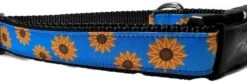 Autumn Dog Collar, Caninedesign, Fall, 1 Inch Wide, Adjustable, Nylon, Medium And Large (Fox, Large 15-22") -Zoomie Shop 51jja0n7D L. AC 1