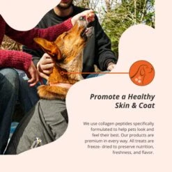 PetFormance Healthy Dog Treats Collagen PETides - Omega 3 Skin & Coat Support – Hip & Joint Support - Premium Freeze-Dried Raw, Fully Digestible, Odor-Free - 28 Sliders Per Pouch -Zoomie Shop 51jkcwCCl2L