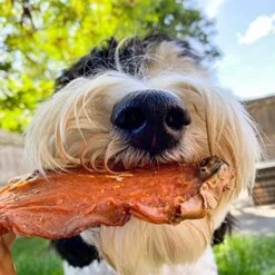 BRUTUS & BARNABY Thick Cut Sweet Potato Dog Treat Full Slices - Single Ingredient Dried Sweet Potato Dog Treats - Vegan Low Fat All Natural Dog Treats - Healthy Dog Treats With No Added Preservatives -Zoomie Shop 51kBJBP33iL