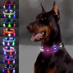 Joytale Light Up Dog Collars Rechargeable, High Visibility LED Dog Collar for Pet Night Walking, 3 Flash Modes, Rainproof PVC Glow Collar Adjustable for Small Medium Large Dogs, Teal, L -Zoomie Shop 51kXDNu a5L. AC