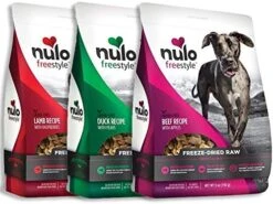Nulo Freeze Dried Raw Dog Food Variety Pack: Natural Grain Free Formula With GanedenBC30 Probiotics For Digestive & Immune Health - All Ages & Breeds - 3 X 5oz Bags (Beef, Salmon, Turkey) -Zoomie Shop 51kb9VxKAPL. AC