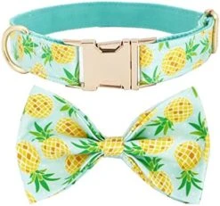 Dog Collar With Bow, Hotdog Dog Bowtie, Bowtie Dog Collar Adjustable Dog Collars For Small Medium Large Dogs And Cats 27 Dog Collar With Bow, Hotdog Dog Bowtie, Bowtie Dog Collar Adjustable Dog Collars For Small Medium Large Dogs And Cats -Zoomie Shop 51khKnQjgL. AC