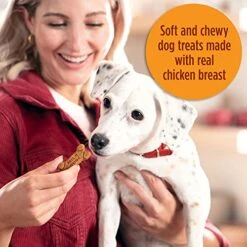 Milk-Bone Soft & Chewy Dog Treats, Chicken, 25 Ounce -Zoomie Shop 51lKICINp4L