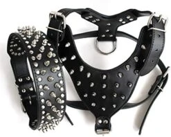 Kuntrona Large Dog Harness And Collar Set Spiked & Studded Leather Dog Pet Harness Collar For Pit Bull Mastiff Medium Large Dogs Green M -Zoomie Shop 51lXM47lUsL. AC