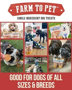 Farm To Pet Chicken Chips For Dogs - Single Ingredient All Natural Dog Treats For Small, Medium, & Large Dogs | Healthy Training Treats For All Breeds & Puppies, Made In USA -Zoomie Shop 51lgrvthNiL