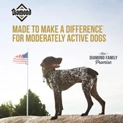 Diamond Premium Adult Dry Dog Food Maintenance Formula Is A Complete And Balanced Diet Protein, Probiotics, And Healthy Fats That Provide High Nutritional Value In Adult Dogs 20lb -Zoomie Shop 51m4B0uZmJL
