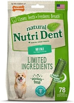 Nylabone Nutri Dent Filet Mignon Flavored Dog Dental Chews Mini - Up To 10 Lbs. 160 Count -Zoomie Shop 51mCpTxSWhL. AC